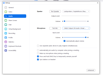 Screenshot zoom settings met audio uit OBS